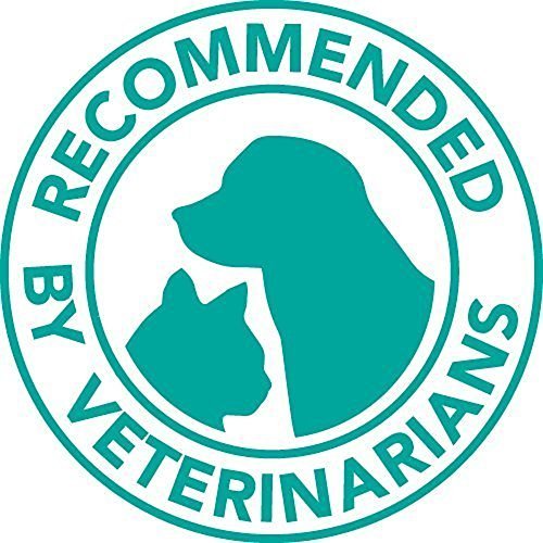 Suitical Recovery Suit Dog, XX-Large, Black - Thumbnail 5