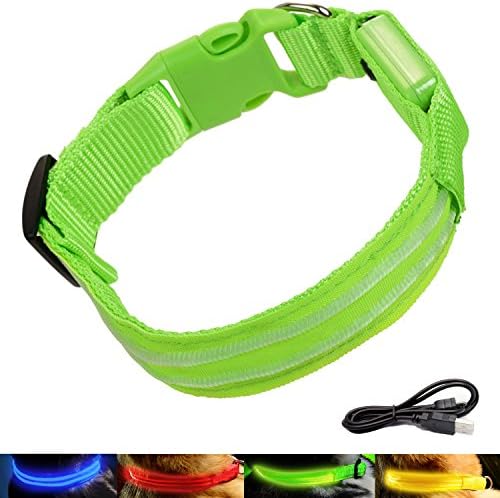 AMBESTKER - LED Dog Collars Bright Light USB Rechargeable Safety Pet Supplies Accessories (S(13-17 inch), Green)