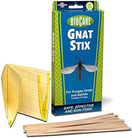 Biocare Gnat Stix Indoor Traps For Fungus Gnats And Aphids Nontoxic And Pesticidefree Made In Usa 12 Count S5333
