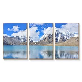 Floating Framed for Living Room Bedroom Landscape Gorge...