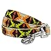 Blueberry Pet 2 Colors Southwestern Vintage Tribal Print Dog Leash with Soft & Comfortable Handle, 5 ft x 5/8