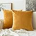 MIULEE Pack of 2 Velvet Soft Solid Decorative Square Throw Pillow Covers Set Cushion Case for Fall Sofa Bedroom Car 16x16 Inch 40x40 Cm Gold