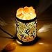 Himalayan Salt Lamps, OxyLED Natural Pink Salt Night Lights with Two Bulbs, Crystal Rock Salt Light in Metal Basket Lampshade with Dimmer Switch, Father's Day Gift (3.15 x 4.33