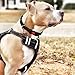 TIANYAO Dog Harness No Pull Reflective Oxford Material Soft Pet Vest Adjustable for Large Dogs Easy Control Harness with Dog Collar (XL)