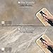 The Woolie Original Full-Size Natural Sheepskin Faux Paint and Glaze Techniques Pad 9.5 X 5.5 inch x 3/4 in. Thick Nap (VALUE 2-PACK)