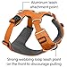 Ruffwear, Front Range Dog Harness, Reflective Soft Padded Everyday Harness with Dual Leash Clips, Adjustable and Lightweight Fit for Training or Walking for All Dogs, Orange Poppy, Large/X-Large
