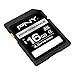 PNY 16 GB SDHC Class 4 Flash Memory Card (P-SDHC16G4H-GE)