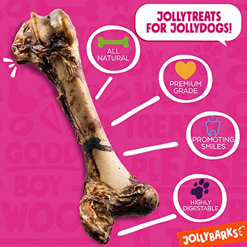 JollyBarks Mammoth 12''16" Big Dog Bone, Premium Dog Chew Bones for