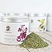Dr. Harvey's Emune Boost Herbal Immune System Supplement for Dogs, Holistic Formula (7 Oz)