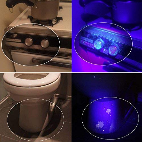 51 LED UV Flashlight Pet Urine Stain Detector 2 Pack - Morpilot Upgrade Best 395nm Ultraviolet Blacklight for Detect Bed Bug Dog Urine Stain Scorpion