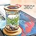 AZXAZ LED Desktop Aquarium Rotatable Mini Transparent Fish Tank Micro-Cylinder Aquarium with Wood Base Desktop Decor 14.5x18cmthumb 1