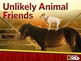 Unlikely Animal Friends Season 4