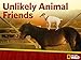 Unlikely Animal Friends Season 4