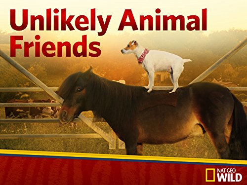 Unlikely Animal Friends Season 4