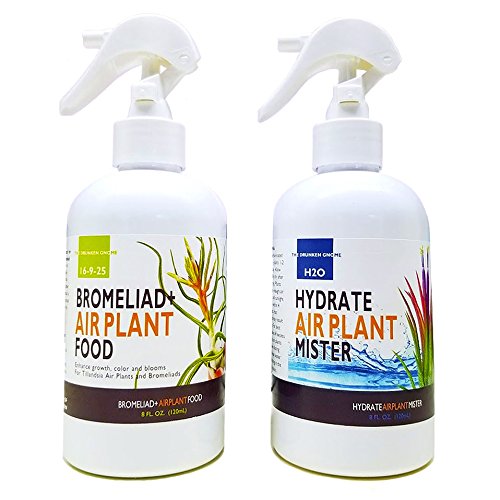 The Drunken Gnome Tillandsia Air Plant Food and Fertilizer for Enhanced Growth, Color and Blooms (8 oz Plus Mister) The Drunken Gnome Tillandsia Air Plant Food and Fertilizer for Enhanced Growth, Color and Blooms (8 oz Plus Mister)
