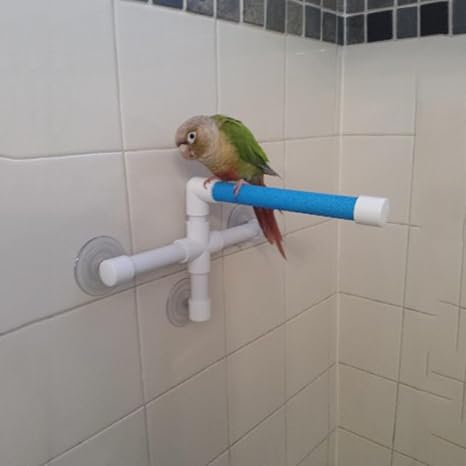 Perchoir à Ventouse Pour Cage à Oiseaux - Support à Mâcher Pour Perruches, Petits Perroquets - UPKOCH