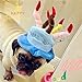 Pet Birthday Party Hat for Small Cats & Dogs, Birthday Cake & Candles Design (Blue)