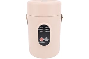 Wisoqu Personal Stew Potal, Small Multi Electric Pot Functions of 9 Hours 500W for Office (US Plug 110V)
