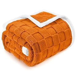 BEDELITE Super Soft Fall Throw Blanket for Couch