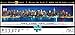 Buffalo Games Panoramic: New York Glow in The Dark Jigsaw Puzzle (750 Piece)