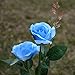 Homeleo Garden Light Up Rose Flower Stake, Outdoor Solar Powered Rose Lights for Garden Patio Backyard Christmas Pathway Driveway Decoration - Blue