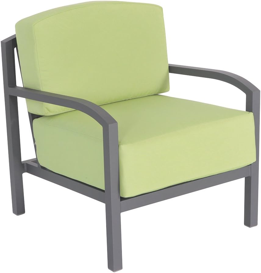 Amazon Com Woodard Skyline Lounge Chair With Textured Black Finish Canvas Gingko Garden Outdoor