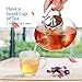 SULIVES Glass Teapot with Stainless Steel Infuser & Lid, Borosilicate Glass Flower Tea Kettle Stovetop Safe, Blooming & Loose Leaf Teapots, 34 oz / 1000 ml