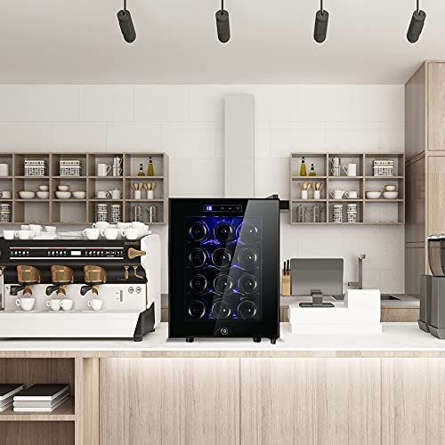 12 Bottle Wine Cooler Refrigerator,Wine Fridge Freestanding with Lock