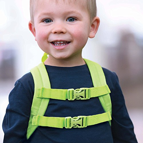 Travel Bug Toddler Safety Backpack Harness with Removable Tether (Dino