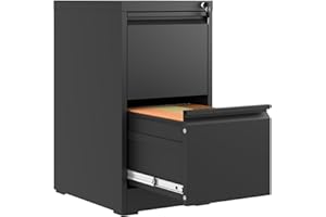FLIXELIO 2 Drawer File Cabinet with Lock,Metal Vertical Filing Cabinets for Home Office,Heavy Duty File Storage Cabinet for Letter/Legal/A4/F4 Size File,Assembly Require (Black, Vertical 2 Drawer)