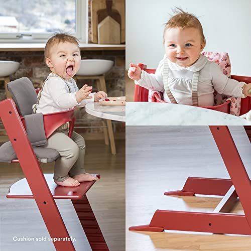 Tripp Trapp Baby Set from Stokke, Walnut Convert The Tripp Trapp
