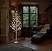 EAMBRITE Warm White LED Tree Light Winter Wedding Home Decorative Tree Light for Indoor and Outdoor Use (5FT Birch Tree Lights)