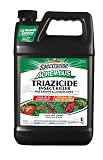1-Gallon Acer Plus Triazicide Insect Killer for Lawns and Landscapes Concentrate