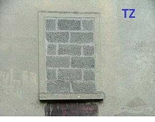 Livro TZ