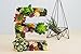 Neomark Tyoungg 4 Pack Flocked Green Artificial Succulent Cactus Plants Echeveria Unpotted Long Stem for Wreath Making Wedding Bouquet Making 3.33”Wide x 5”Tall