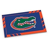 Aminco NCAA Florida Gators Logo Magnet