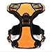 Chai's Choice Best Outdoor Adventure Dog Harness (Medium, Orange)