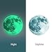 Glow in The Dark Moon Sticker: Majestic Paper Moon Sticker with Powerful, Long-Lasting Glow Easy Installation and Removal Great as Glow Nightlight Pair with Glow in The Dark Ceiling Stars