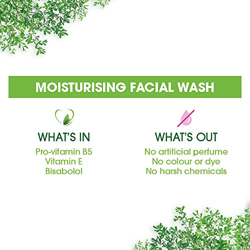 Simple Moisturising Facial Wash - Image 5