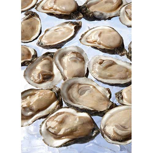Handy 1/2 Shell Gulf Coast Oysters -- 144 per case.