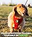 EcoBark Dog Harness - Eco-Friendly Max Comfort Harnesses - Luxurious Soft Mesh Halter - Over The Head Harness Vest- No Pull and No Choke for Puppy, Toy Breeds & Small Dogs (Medium, Red)