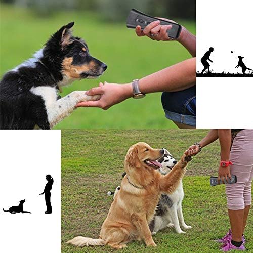 petty pals pet gentle