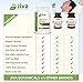 Jiva Botanicals Chanca Piedra Supplement - 550 mg per Serving - 500mg Extract with 50mg Queen of The Meadow - 2 Months Supply