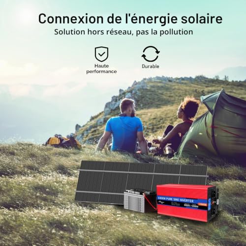 ETREPOW 6000 W 24 V 220 V/230 V Pure Sine Inverters Transformer - 2 EU AC Power Socket, 1 USB Port, Wireless Remote Control and LCD Screen, for Trucks, Camping, Travel