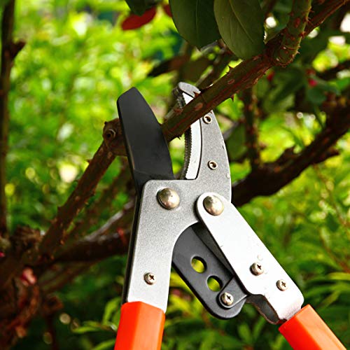 TMAI 2840'' Extendable Anvil Lopper, Pruning Lopper, Tree Pruner with