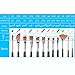 NGwall Paint Brush Set Round MultipurposeTip Nylon Hair Stylist Acrylic Watercolor Painting, Easy to Clean (12 Black)