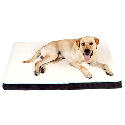 Buy Edujin Large Egg Crate Foam Black Dog Bed Orthopedic Rectangle Pet Bed With Removable Washable Cover Soft Anti Slip Pad Mat For Pets Up To 75 Lbs 36 X