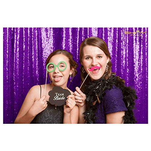 4FTx6FT Purple Sequin Backdrops,48