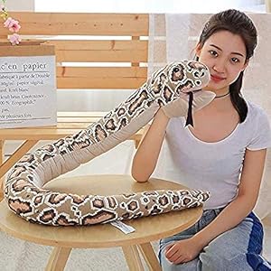 51Ym%2B6hRY8L. SS300