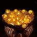 SOMUNS Halloween Lights, 40 LED Pumpkin String Lights for Indoor, Halloween Christmas Decorations, Battery Operated